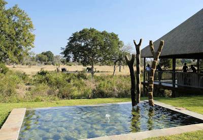 Big Five wildlife sighting Sabi Sabi Game Reserve fly-in safari Greater Kruger South Africa