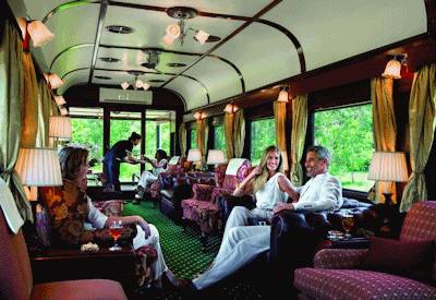 Train Safaris