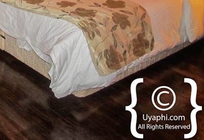 Aberdare National Park Safari