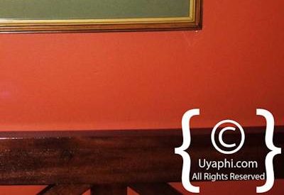 Aberdare National Park Safari