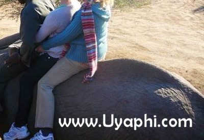 Addo Elephant Back Safari