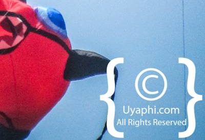 Cape Town Kite Festival