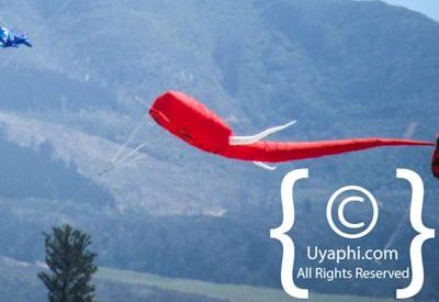 Cape Town Kite Festival