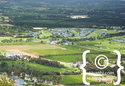 Constantia Winelands