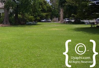 Constantia Winelands