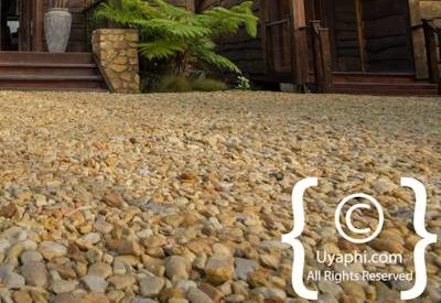 Elephant Hide Guest Lodge Review