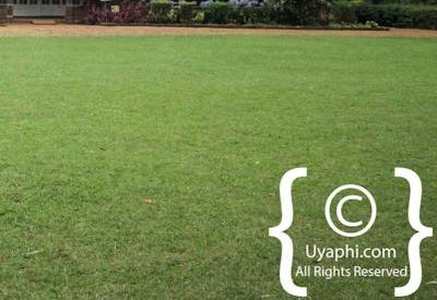 Giraffe Manor Review