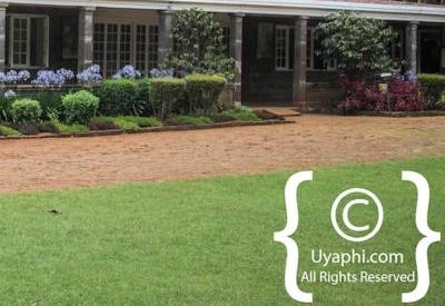 Giraffe Manor Review