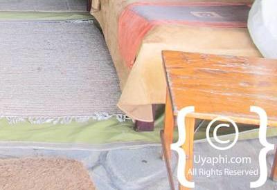 Governors Camp Kenya Review