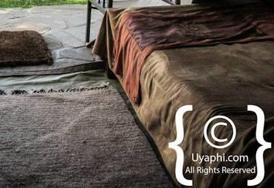 Governors Camp Kenya Review