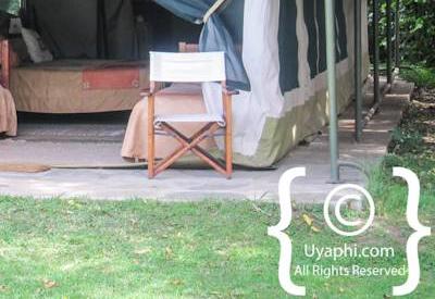 Governors Camp Kenya Review