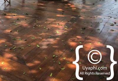 Governors Camp Kenya Review