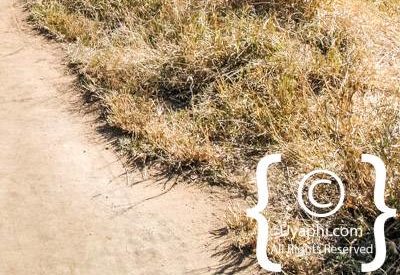 Greater Kruger Family Safari