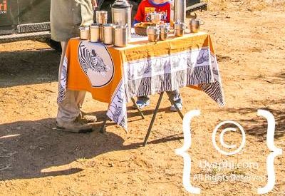 Greater Kruger Family Safari