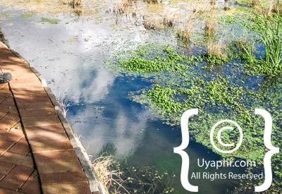 Greater Kruger Family Safari