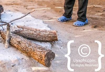 Greater Kruger Family Safari