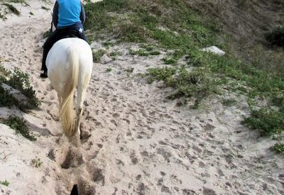 Horse Riding in Cape Town