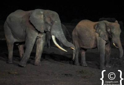Aberdare National Park Kenya highland moorland waterfall stream mountain range scenic aerial photography