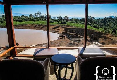 The Ark Lodge Aberdare National Park Kenya Noah's Ark shaped refurbished waterhole elephant viewing gallery