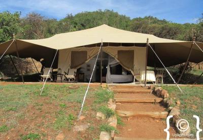 Cottars 1920s Camp Kenya mess tent dining socialising Africana books wildlife photographs family history