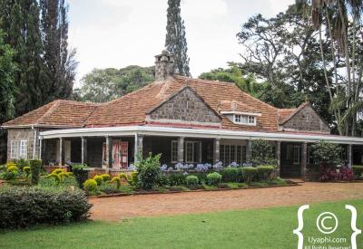 Giraffe Manor Nairobi Kenya Rothschild giraffe 6m tall breakfast room window treat pellets rough tongue