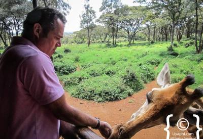 Giraffe Manor Nairobi Kenya garden manor extension unique named rooms colonial chic Nairobi Kenya