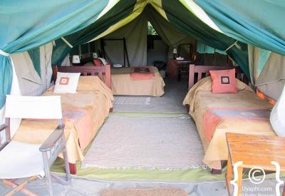 Governors Camp Kenya classic comfortable tented suite Mara River view unfenced open safari camp