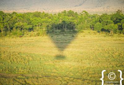 Masai Mara balloon safari Kenya aerial view savannah wildbeest herds Mara River dawn photography