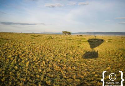 Masai Mara balloon safari Kenya aerial view savannah wildbeest herds Mara River dawn photography