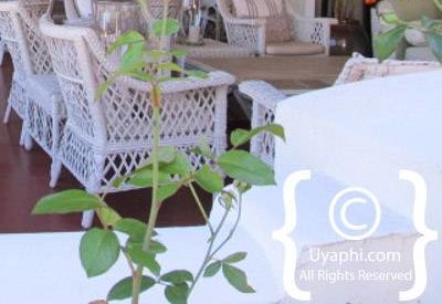 Kurland Hotel Review