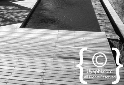 Kwandwe Game Reserve Review