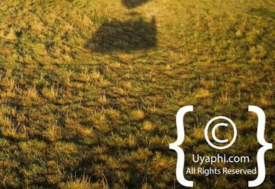 Explore The Masai Mara By Balloon