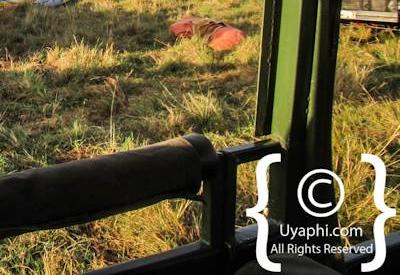 Explore The Masai Mara By Balloon