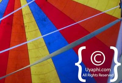 Explore The Masai Mara By Balloon