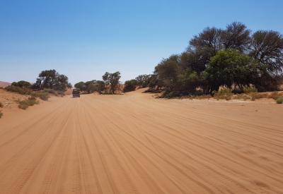 Driving to Sossusvlei Namibia hot air balloon dawn over dunes Sesriem Namib Desert photography