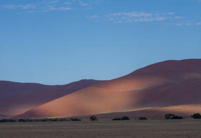 Sossusvlei road Namibia oryx gemsbok red dunes Namib Desert wildlife photography