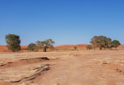 Sossusvlei Namibia Big Daddy dune climb highest dune Namib Desert photography