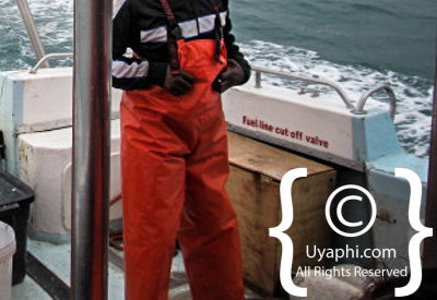 Shark Cage Diving Cape Town