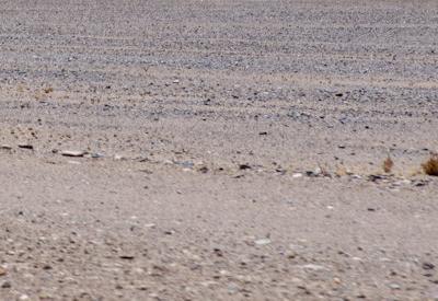 Driving To Sossusvlei