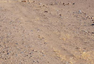 The Road To Sossusvlei