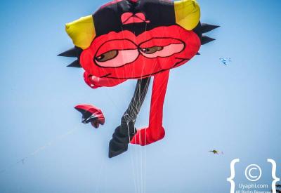Cape Town Kite Festival cartoon character kites TV-inspired stunt kiting adult enthusiasts Muizenberg