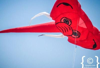 Cape Town Kite Festival Rokkaku Japanese kite battles graceful wind currents sunlit Muizenberg Cape Town
