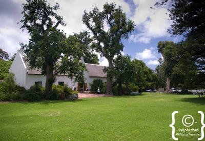Constantia Uitsig wine estate Cape Town River Cafe restaurant weekend brunch Capetonians Constantia