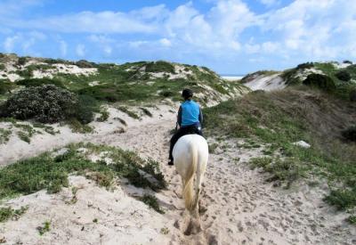 Horse riding Noordhoek Beach Cape Town canter Atlantic Ocean 8km white sand Chapmans Peak fynbos mountains