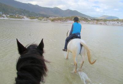 Sleepy Hollow horse riding Cape Town Frisian horse Black Velvet dunes SS Kakapo steamship wreck 1900