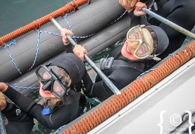 Shark cage diving Cape Town great white ramming cage bait crew Shark Diving Unlimited Jason