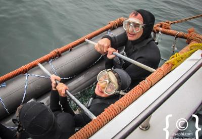 Shark cage diving Cape Town boat crew briefing Gansbaai conservationists chumming debate debate
