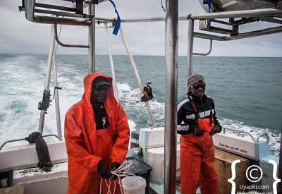 Shark cage diving Cape Town daughters James family experience Gansbaai lions of the oceans majesty