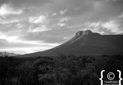 Samara Game Reserve Great Karoo semi-desert landscape Graaff Reinet Camdeboo plains springbok migration route