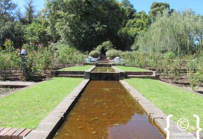 Kurland Hotel Garden Route room cosy large English manor house African elements attentive staff Plettenberg Bay